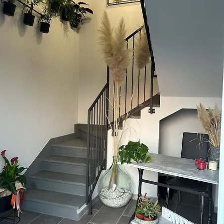 Bed & Breakfast Il Gelsomino